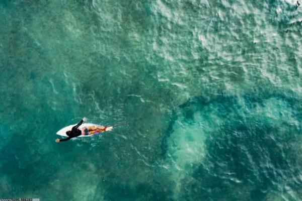 散步归属的体育运动类型解析